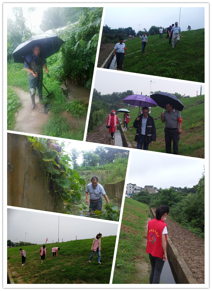  防汛抗洪丨荊劉村：同降雨拼速度，與汛情作斗爭