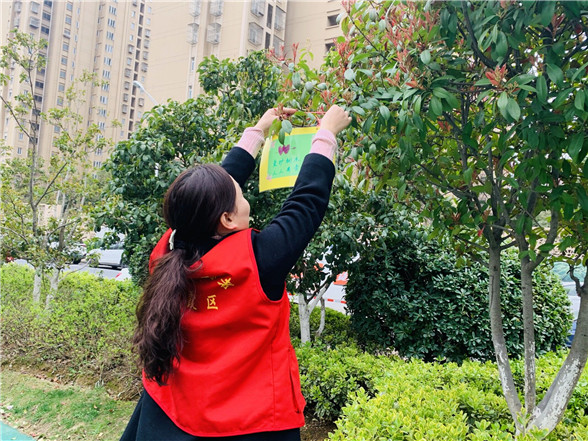 蛇盤社區(qū)黨總支: 愛綠護綠志愿行